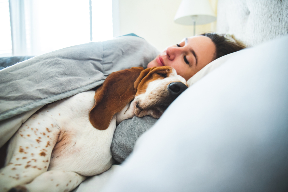 sharing your bed with your dog